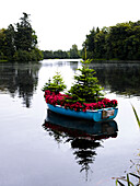 Christmas trees and Poinsettia in rowing boat on Scottish lake UK