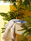 Soap on blue and white bowl with towel in Spanish courtyard
