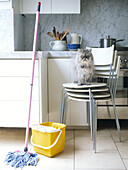 Mop and bucket with cat on stacked chairs