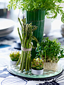 Cress parsley and asparagus shoots on table centrepiece