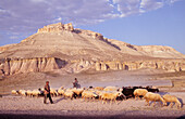 Shepherds with their sheep by the roadside near the volcanic rock formations in Cappadocia Turkey