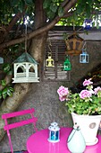 Selection of birdhouses hang from tree in cottage garden with bright pink table, Corfe Castle, Dorset, England, UK