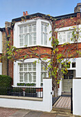 Kletterpflanze an Backsteinfassade eines Hauses in London UK