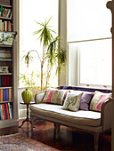 Sofa and houseplant with bookcase in bay window of London townhouse apartment, UK