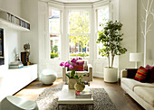 Sofa und Sessel mit Zimmerpflanze im sonnenbeschienenen Erkerfenster des Wohnzimmers in einem Haus in London, Vereinigtes Königreich
