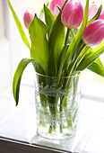 Vase of pink tulips on bright windowsill in Hove home East Sussex UK
