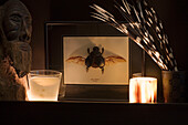 Framed insect and lit candles on shelf with male head in London home UK