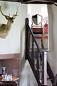 Hunting trophy and dark wood ladder steps in Scottish home interior UK