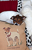 Embroidered cushion in imitation of dog in in Surrey home, England, UK