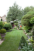Back garden of London home, UK