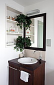 Wooden wash stand with recessed shelving and houseplants in contemporary London townhouse, England, UK