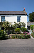 Weiß getünchte Cottage-Außenfassade, Dorset, England, UK