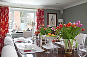 Cut tulips on dining table with white chairs and red floral curtains in Staffordshire farmhouse England UK