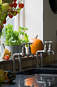 Metal taps on double sink with herbs on windowsill in London kitchen,  England,  UK