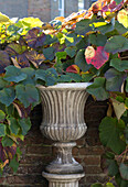 Garden urn with sunlit changing leaves in Berkshire garden,  England,  UK