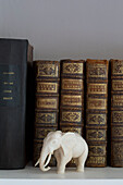 Hard-backed books and elephant figurine on shelf in Victorian family home South West London UK