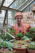Female bust and succulent plants in Arundel greenhouse West Sussex England UK