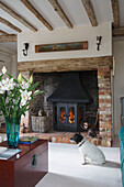 Lilies and Jack Russell at lit fireside in timber framed Grade II listed cottage Hampshire England UK