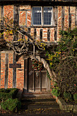 Gnarled treetrunk on brick and timber-framed farmhouse exterior in Hampshire England UK