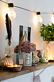 Cut roses and feathers with tealights and lightbulbs in bedroom shelf in Cheshire home UK