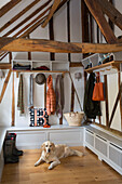 Golden Retriever with boots coats and scarves in cloakroom of Oast house conversion Kent UK