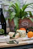 Cheeseboard and prosecco with houseplant in West Sussex farmhouse UK