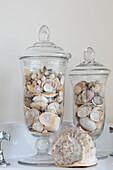 Seashells in glass storage jars on washbasin in Gloucestershire barn conversion UK
