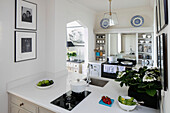 Houseplant and fruit with framed prints in white kitchen of Grade II listed villa Arundel West Sussex UK