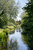 Leafy Hampshire river UK