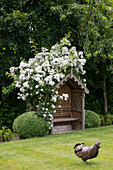 Wooden arbour with summer blossom and chicken sculpture in garden of 1900s former coach house West Sussex UK