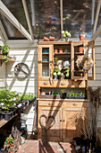 Wooden dresser and potting bench in sunlit greenhouse Hertfordshire UK