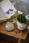 Dandelion paperweight and wildflowers with open book Barrow in Furness Cumbria UK