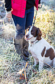 Woman with red gillet and boots with a spaniel dog on frosty grass