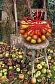 Korb mit Äpfeln auf einem Hocker mit Spaten im Garten der Isle of Wight, UK