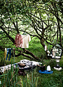 Matratze in einem Waldstück mit Gasofen und Spiegel Isle of Wight, UK
