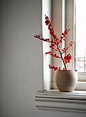 Rote Beeren in einer Vase auf der Fensterbank eines Hauses auf der Isle of Wight, UK