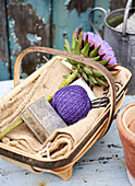 Purple string and flower with hessian in garden trug Isle of Wight, UK