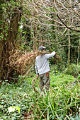 Mann trägt Zweige durch den Wald auf der Isle of Wight, UK