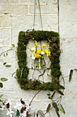 Jar of yellow flowers in moss picture frame on stone exterior Isle of Wight, UK