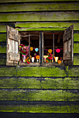 Open shutters of rustic wood cabin with cut flowers in Autumn UK