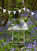 Cut flowers on table with bunting in bluebell woods (Hyacinthoides non-scripta)