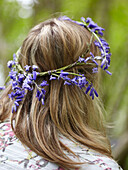 Frau trägt Blauglöckchengirlande im Haar (Hyacinthoides non-scripta)