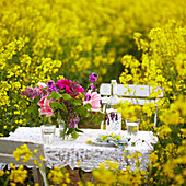 Tisch für zwei Personen mit Schnittblumen in einem Feld mit blühenden Rapssamen (Brassica napus)