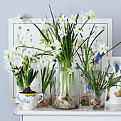 Easter Mantlepiece with Jars and vases of spring bulbs