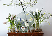Easter and spring flowers on chest with carboy and jars