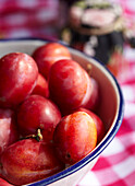 Detail of bowl of Victoria Plums in an enamel bowl on table top