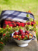 Foraged fruit and berries, Victoria Plums, Apples, Rosehip on a bench in garden with blankets
