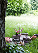 A picnic on a meadow with a rug, a cushion and foxgloves