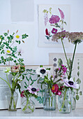 Verschiedene Glasvasen und -gefäße, gefüllt mit Frühlingsblumen, auf einem Regal mit botanischen Drucken