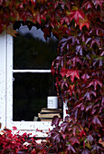 Außenansicht des Hauses und Fenster mit herbstlichem Wildem Wein (Virginia Creeper)